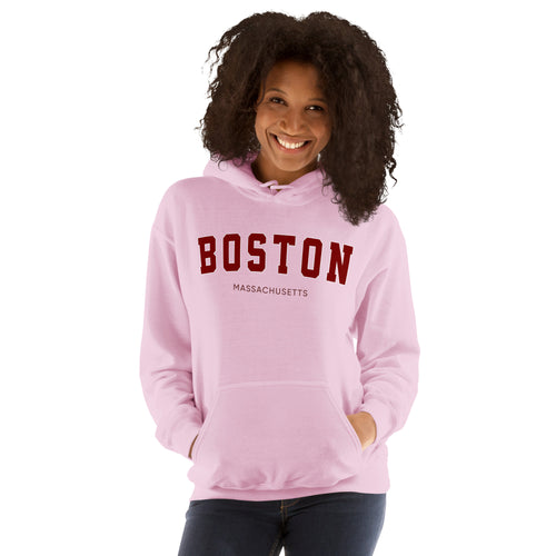 Preppy Boston Ivy League State Aesthetic Hoodie