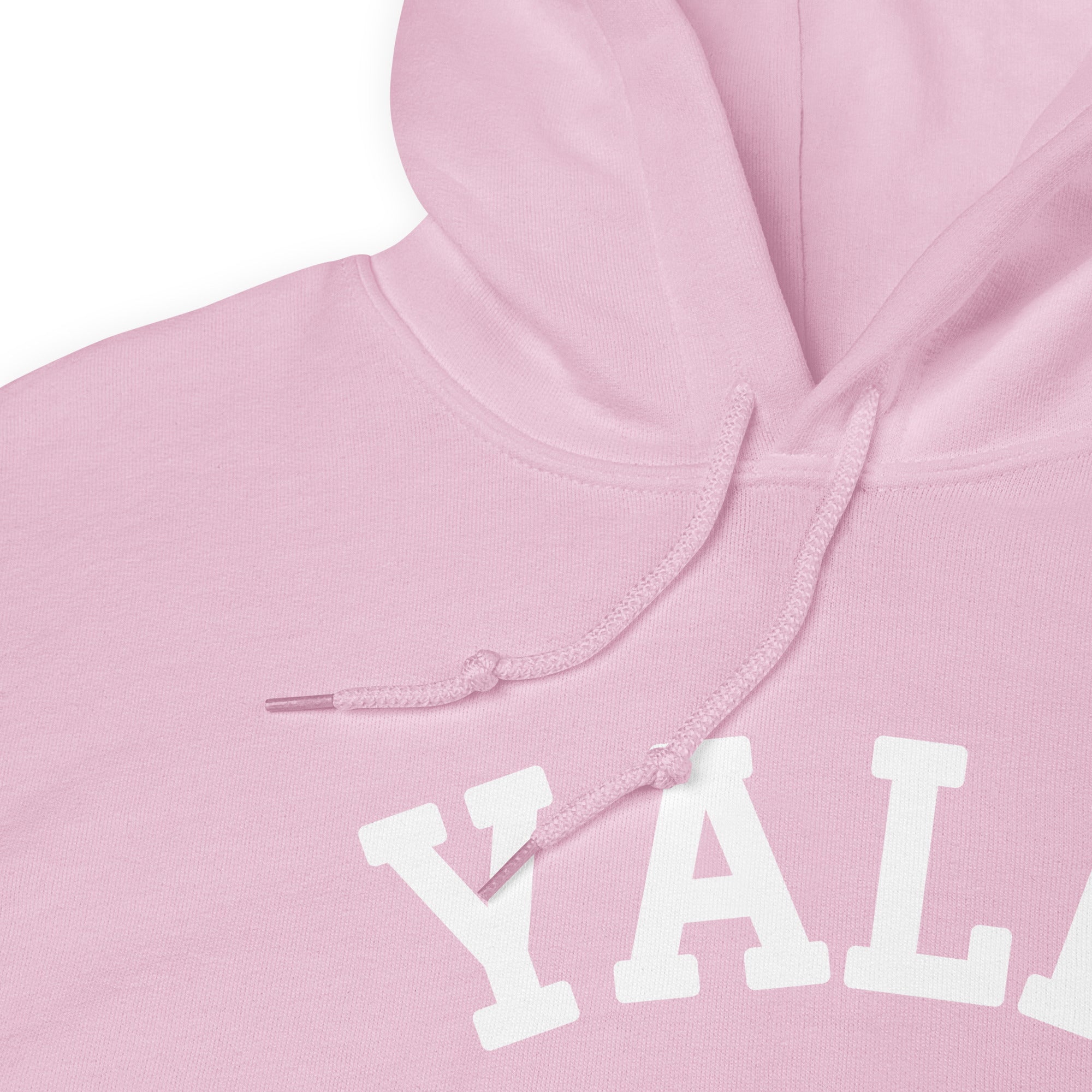Preppy Pink Yale Aesthetic Hoodie for Women