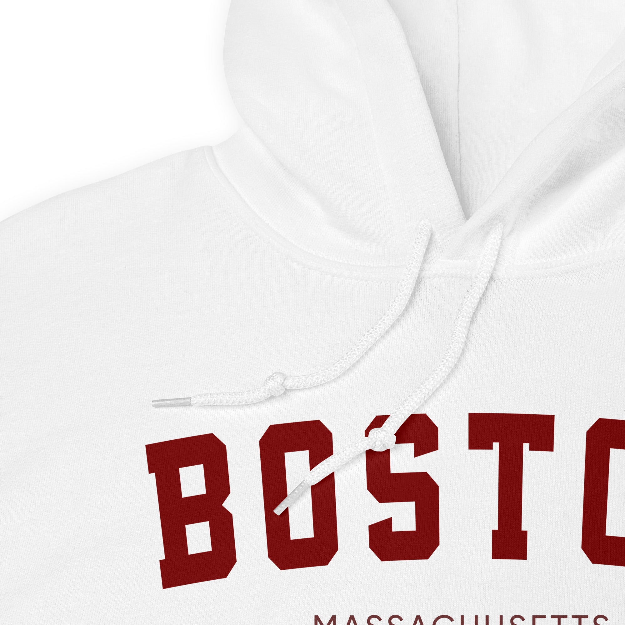 Preppy Boston Ivy League State Aesthetic Hoodie